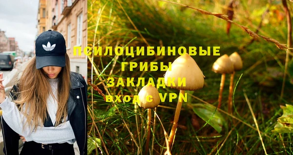 бошки Баксан