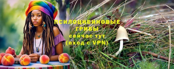 дживик Белоозёрский