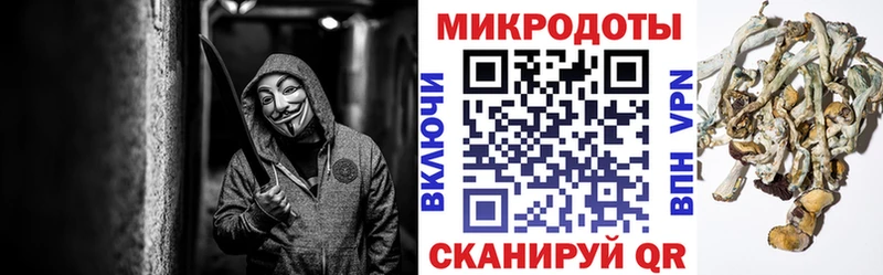 Галлюциногенные грибы Psilocybine cubensis Новый Уренгой