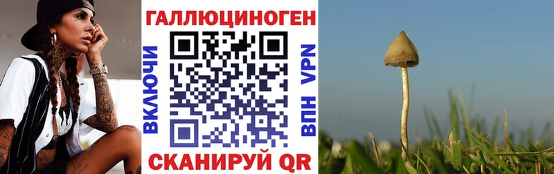 Псилоцибиновые грибы Cubensis Новый Уренгой
